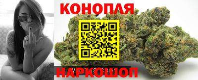 прущие крисы Кунгур