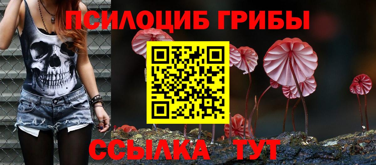 цены наркотик  Вход с VPN  Кириши  Псилоцибиновые грибы Magic Shrooms 